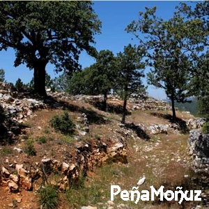 Peña Moñuz - Olmeda de Cobeta (GU)