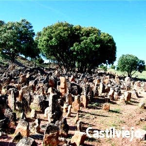 Castilviejo de Guijosa (GU)